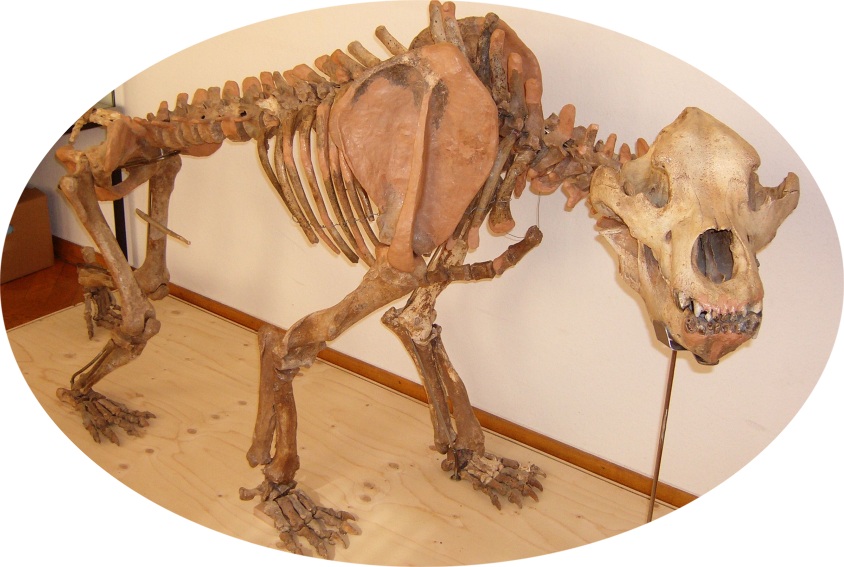 Obermarsberger Geschichte Obermarsberger Geschichte